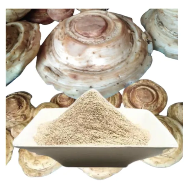 Sacha Jergon En Polvo Puro  1 Kg. 