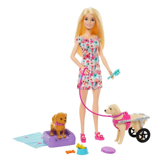 Muñeca Barbie Paseo Perrito Con Silla De Ruedas