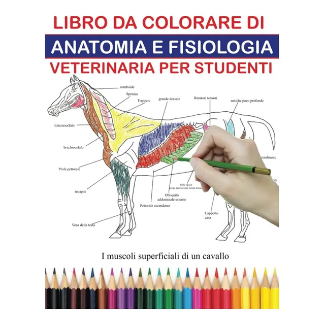 Libro: Libro Para Colorear De Anatomia Y Fisiología Veterina