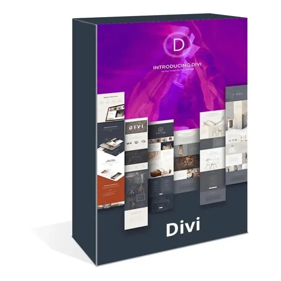Divi Theme Atualização Automática Wordpress