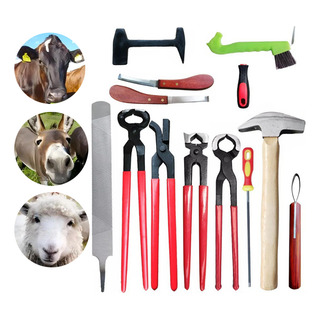 Kit De Herramientas Para Herrar, 12 Piezas Kit De Herramientas Para Herrar, 12 Piezas