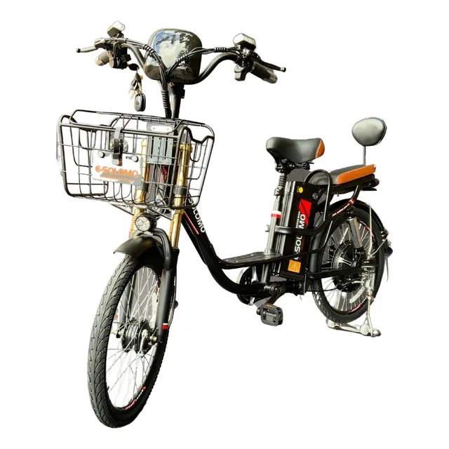 Bicicleta Eléctrica R22 E Solomo Batería De Litio 30km/h