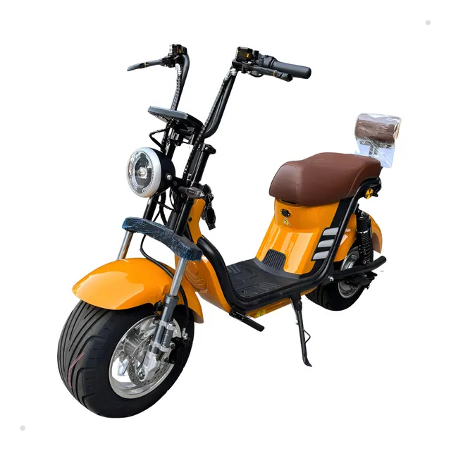 Eletrik Express X13 1000W