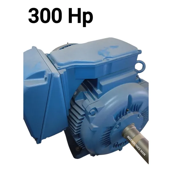 Potente Motor 300 Hp Multiusos 1200 Rpm Nuevo Original