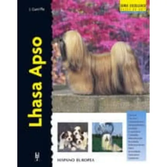 Lhasa Apso. Excellence