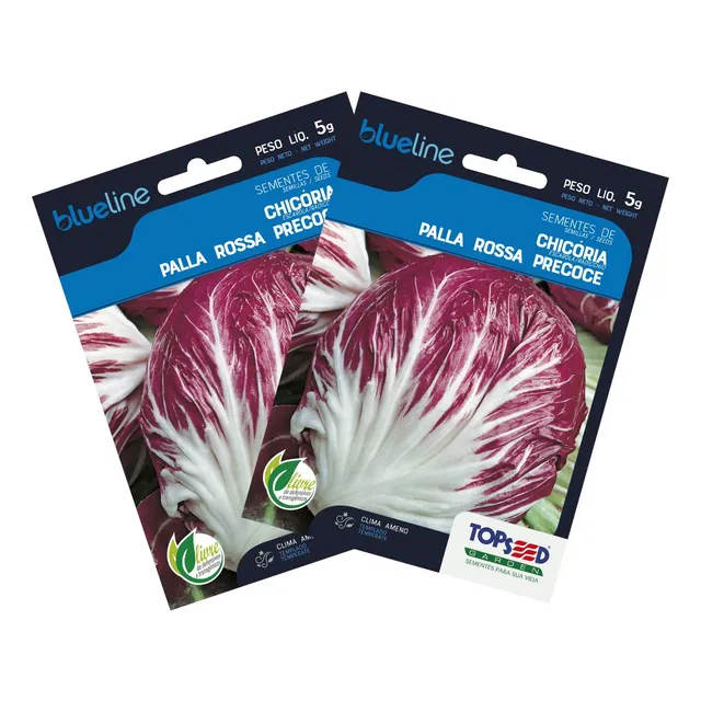 2x Sementes De Chicória Palla Rossa Precoce Blueline Topseed