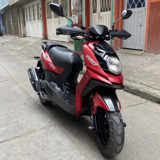 Dynamic Pro 2024