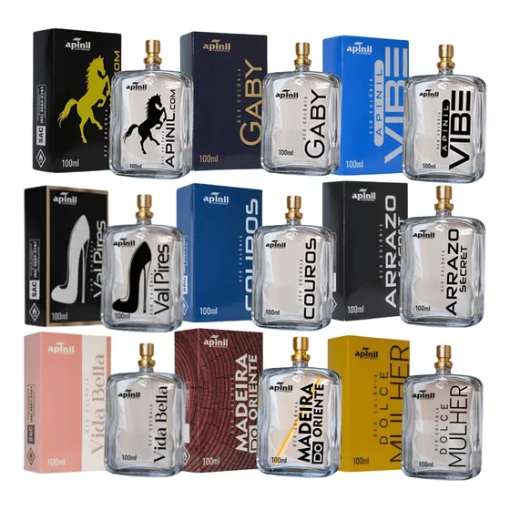 Kit 10 Perfumes De 100ml - Apinil