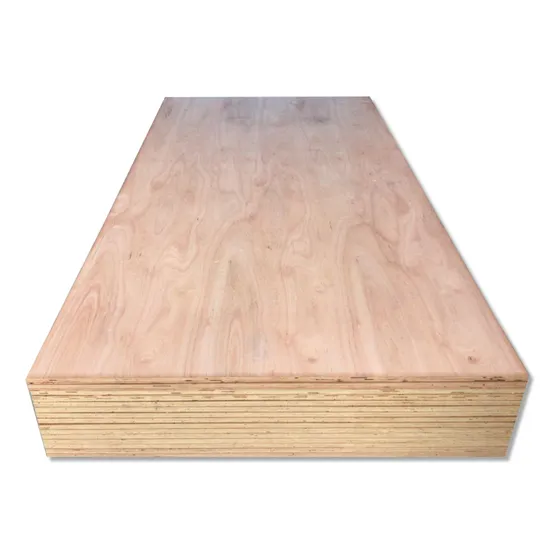 Fenolico 25 Mm Eucalipto 1 Cara Buena Lijada 122x244 Cm