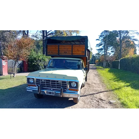 Ford F-100 3.6 Std