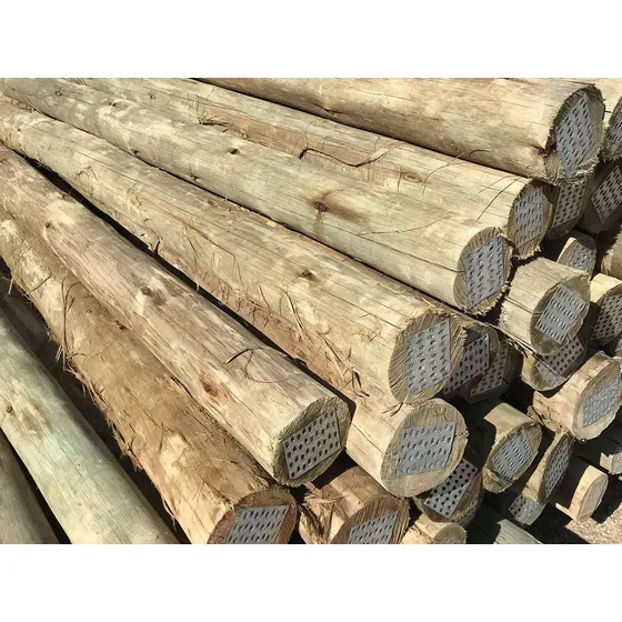 Madera  Palos Estacas Troncos Bambu Para Multiples Usos.