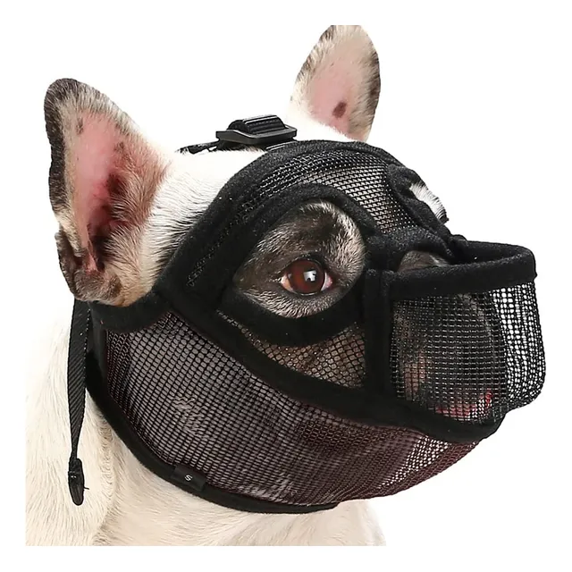 Bozal De Bulldog Francés, Inglés, Pug, Perros Hocico Corto