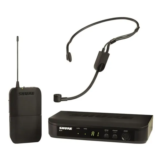 Micrófono Shure BLX BLX14/PGA31 Condensador Cardioide color negro