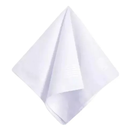 Pañuelo De Tela Blanco Para Desfile Bailes Clasico Chile