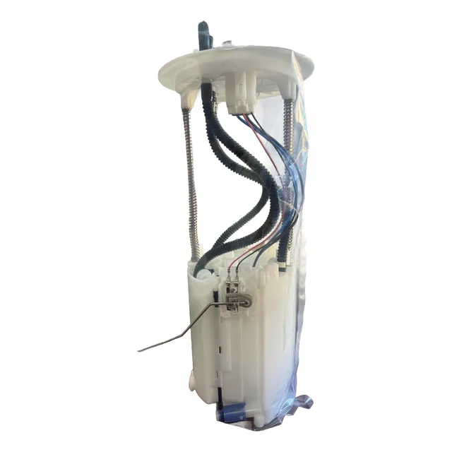 Conjunto De Gasolina Toyota Land Cruiser Roraima Original