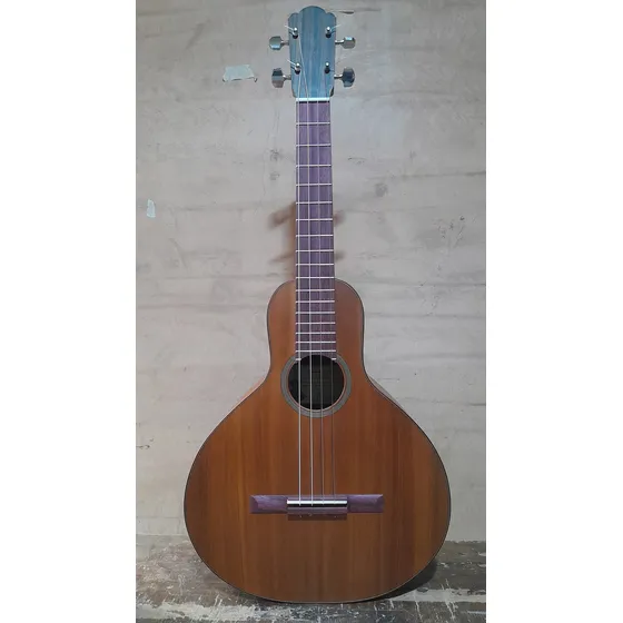 Bandola Llanera 