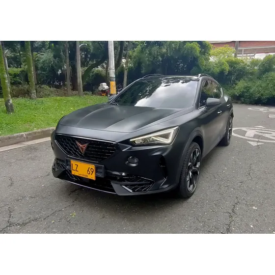 Cupra Formentor 2.0 Tsi Metalizado Dsg