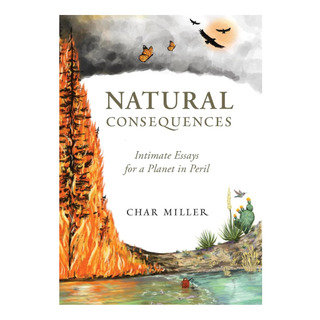 Libro: Consequências Naturais: Ensaios Íntimos Para Um Plane Libro: Consequências Naturais: Ensaios Íntimos Para Um Plane