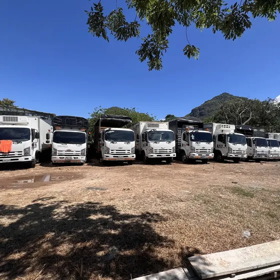 Venta De Camiones Npr Frr Nqr Nhr