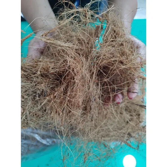 Fibra De Coco, Sustrato