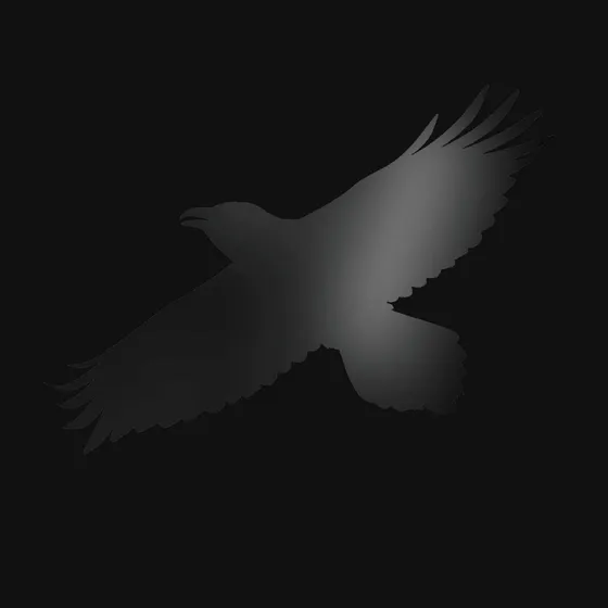 Sigur Ros Odins Raven Magic & Steindor Andersen Cd Digipak