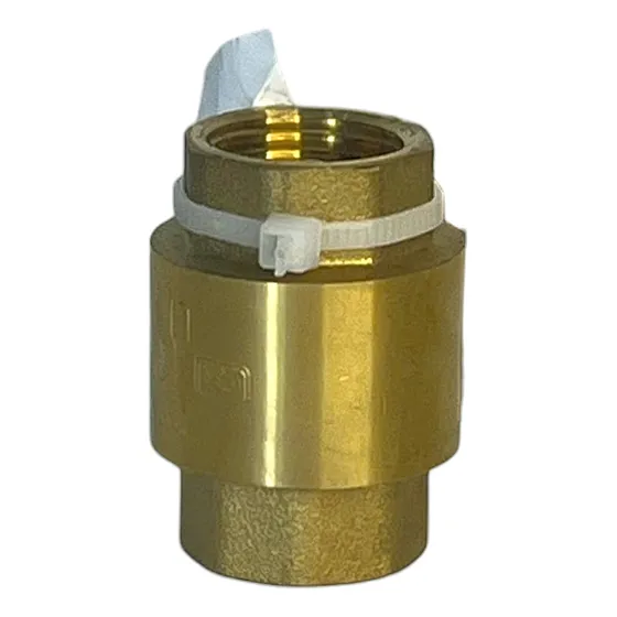Valvula Check Faguax 100% De Bronce 1/2  Nascad