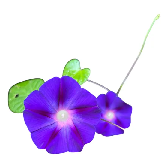 Trepadora Nativa - Enredaderas Con Flor - Campanilla Púrpura