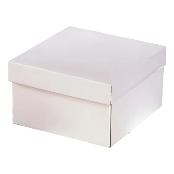 Caja De Torta 20 X 20 Cm Blanco Gris Bulto 100 Und
