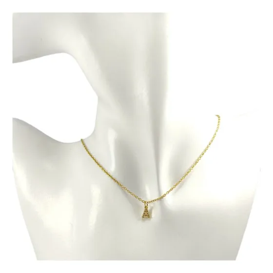 Collar Acero Inoxidable Con Dije Inicial De Nombre Elegir 