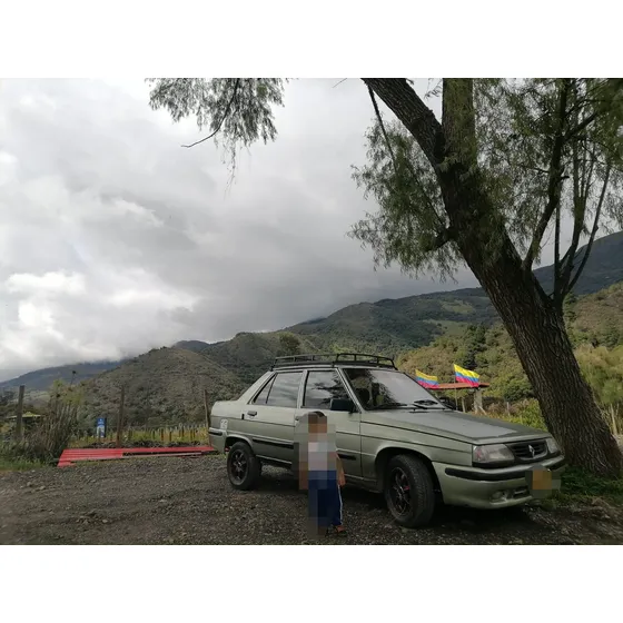 Renault R9 1.4