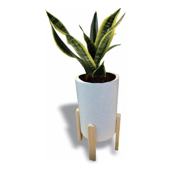 Maceta Con Soporte De Madera Artesanal