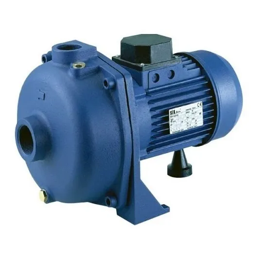 Bomba Centrifuga Doble Impulsor Reggio Stbj200 11/2x11/4 2hp