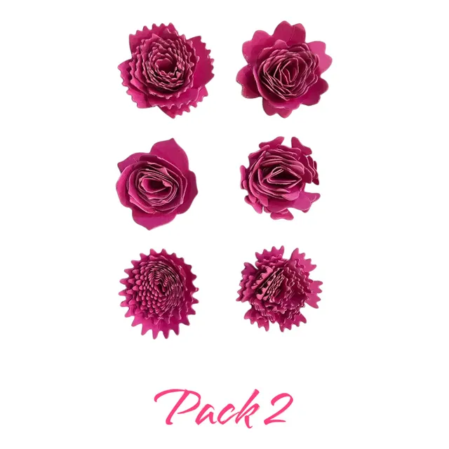 Set De Troqueles Flores 6 Unds Diferentes Diseños