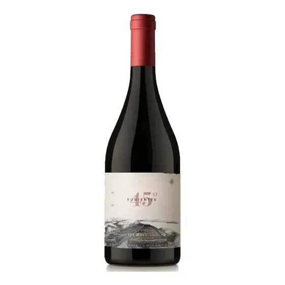 Vino 45 Rugientes Pinot Noir Organico 750 Ml