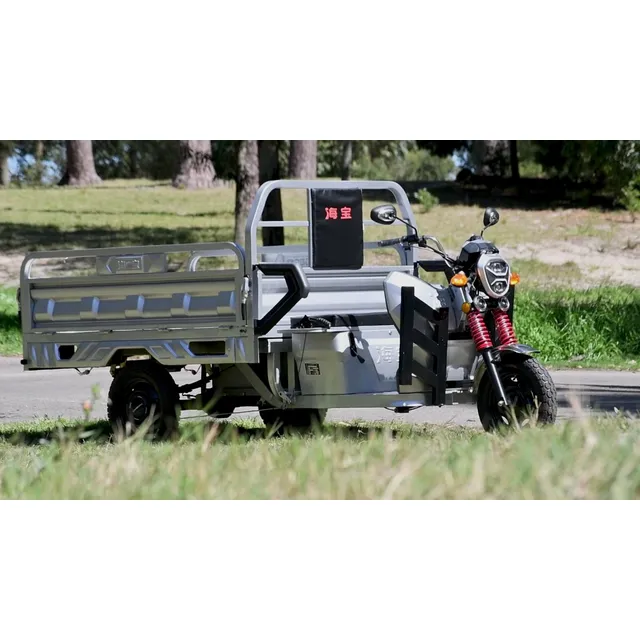 Triciclo 100% Eléctrico Utilitario Hard Work Trike Uruguay 