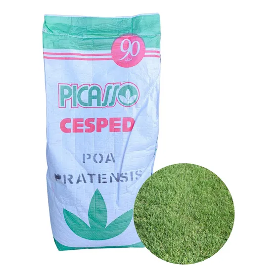 Semilla Cesped Jardin Poa Pratensis X 10 Kg  ( Picasso )