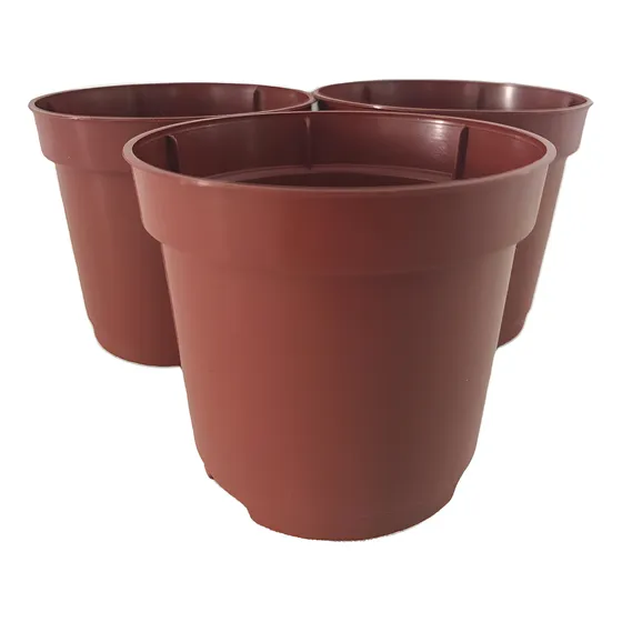 200 Vasos 80 Ml Para Mudas Pote 6 Suculentas Cactos Marrom 