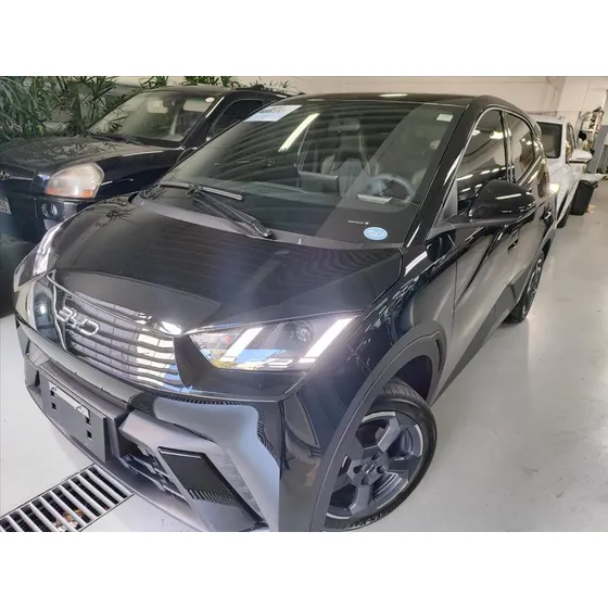 Byd Dolphin Mini 38 Kw Elétrico