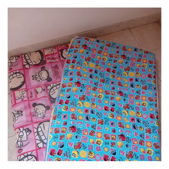 Corchoneta Para Corral De Bebe (usadas) 2 Colchonetas