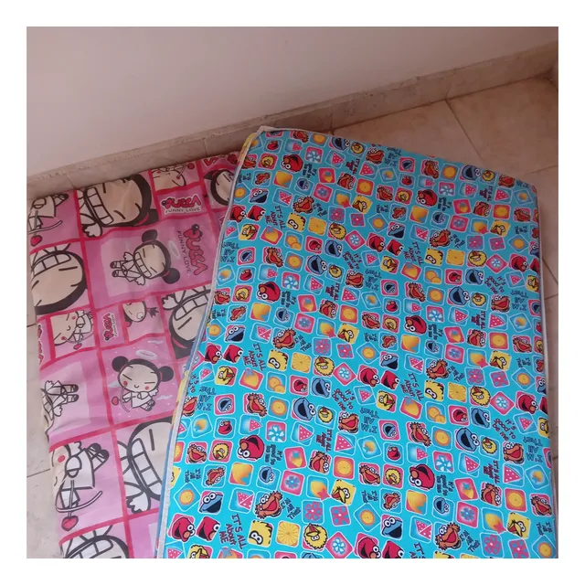 Corchoneta Para Corral De Bebe (usadas) 2 Colchonetas