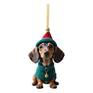 1/7 Piezas De Dachshund Decodions, 2 Unidades De Acrílico Li 1/7 Piezas De Dachshund Decodions, 2 Unidades De Acrílico Li