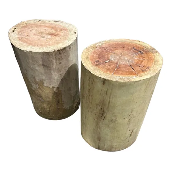 Tronco Tora De Eucalipto Decoracao Jardim Rustico 30x25cm