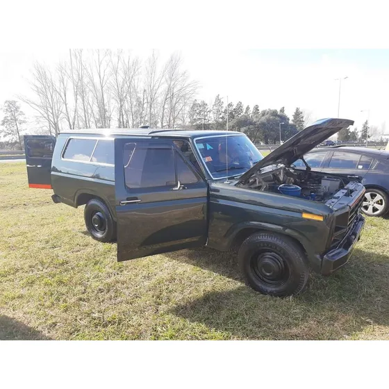Ford F-100 3.6 Std