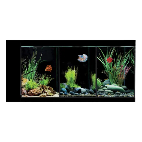 Beteira 3 Bettas 50x20x25cm 4mm C/ Sump Lateral / Filtragem
