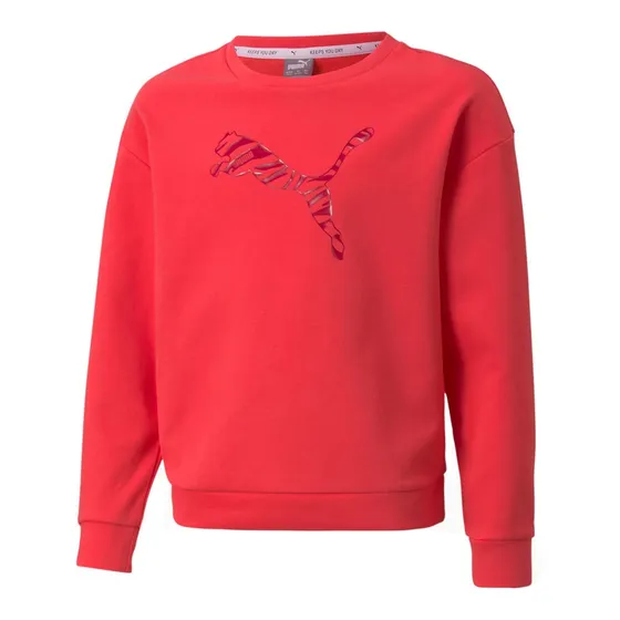 Buzo Remera Puma Modern Sport Crew Manga Larga Niña Niño