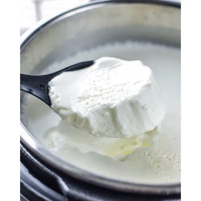 Curso De Yogurt Artesanal 