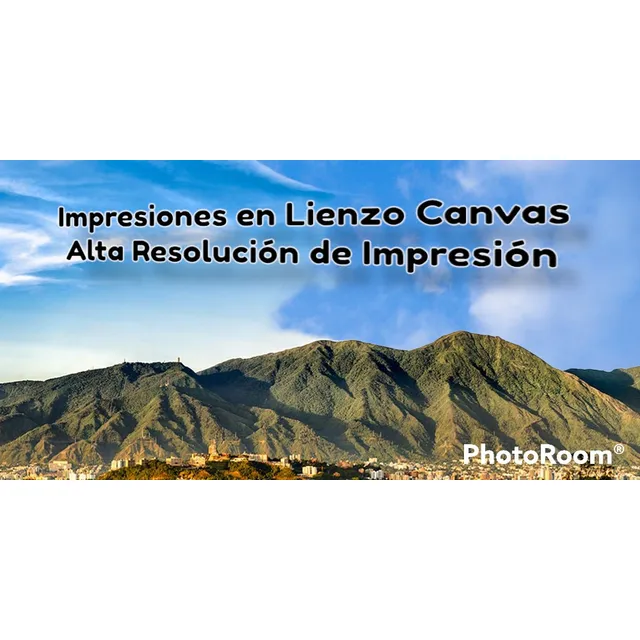Impresión En Lienzo Canvas Con Relieve Cuadros Decorativos 