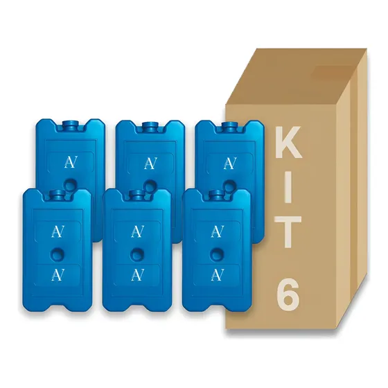 Kit 06 Gelo Gel 200ml Artificial Reutilizável Caixa Cooler Azul