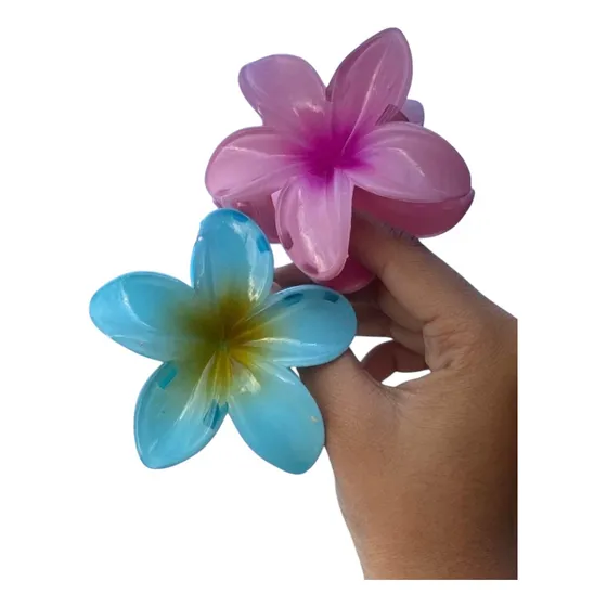 Ganchos Pinzas Para Cabello Pelo Colas Dama