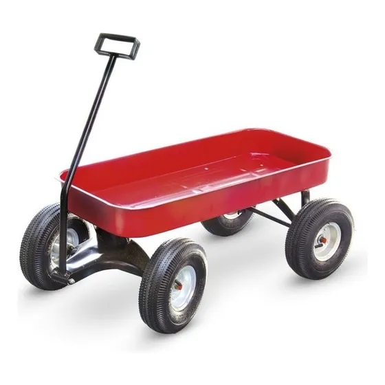 Carro O Carrito De Chapa Equus Para Niños 4 Ruedas Inflables